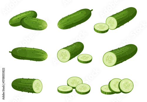 Fresh Green Cucumber Collection Whole and Sliced Vegetables.