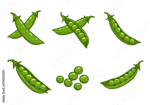 Fresh Green Peas in Pods and Loose Cartoon Style.