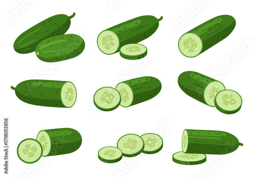 Fresh Green Cucumbers Whole and Sliced Vegetable Illustration.