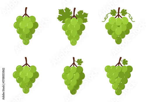 Green Grape Clustered Illustrations with Leaves and Vines.