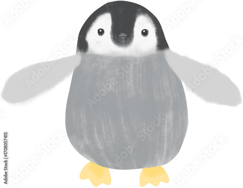 penguin on white background
