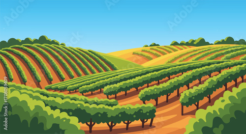 Terraced Vineyard Hills with Lush Green Rows and Clear Blue Sky, Agricultural Countryside Landscape for Wine Culture, Farm Environment, and Scenic Nature Backdrop