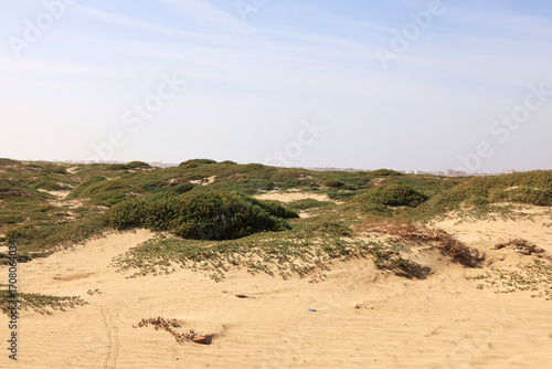 The famous Kite Beach at Sal Island, Cape Verde, Africa