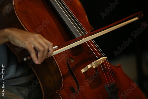Musician Playing Cello with Bow