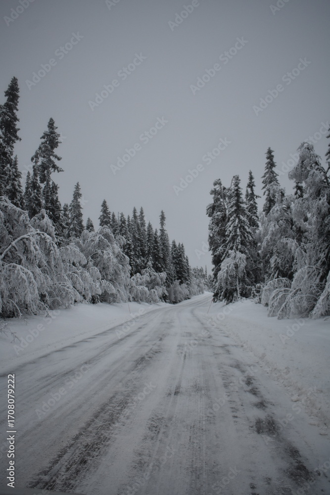 Fototapeta premium snow covered road