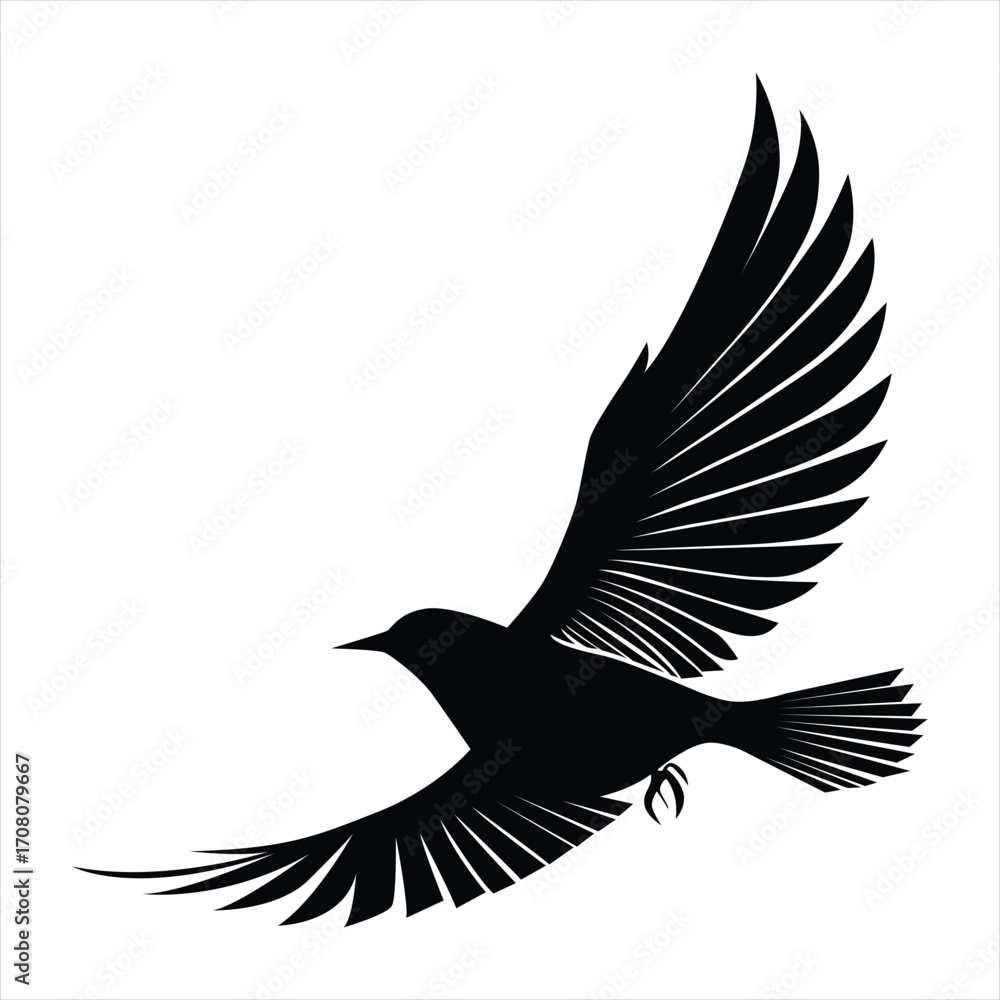 Fototapeta premium A black silhouette of a bird soaring through the air, its wings fully extended against a white background