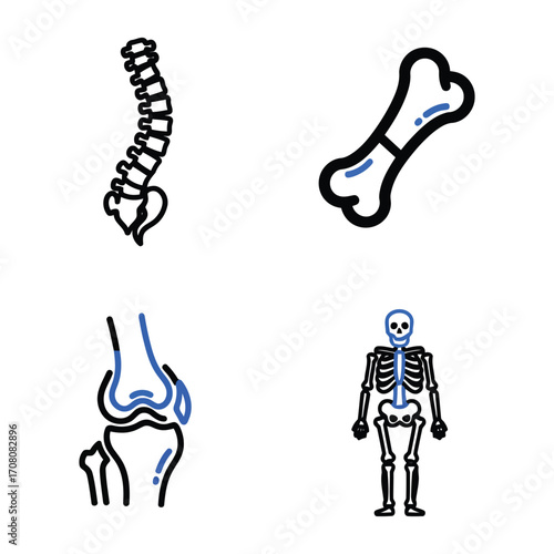 Line Art Spine, Bone, Knee, and Skeleton - Anatomical Illustrations for Medical Designs