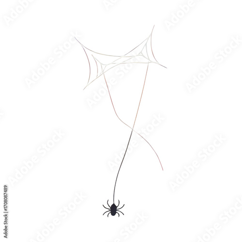 A tiny spider dangles from its web against a clean white background, evoking a sense of delicate nature.