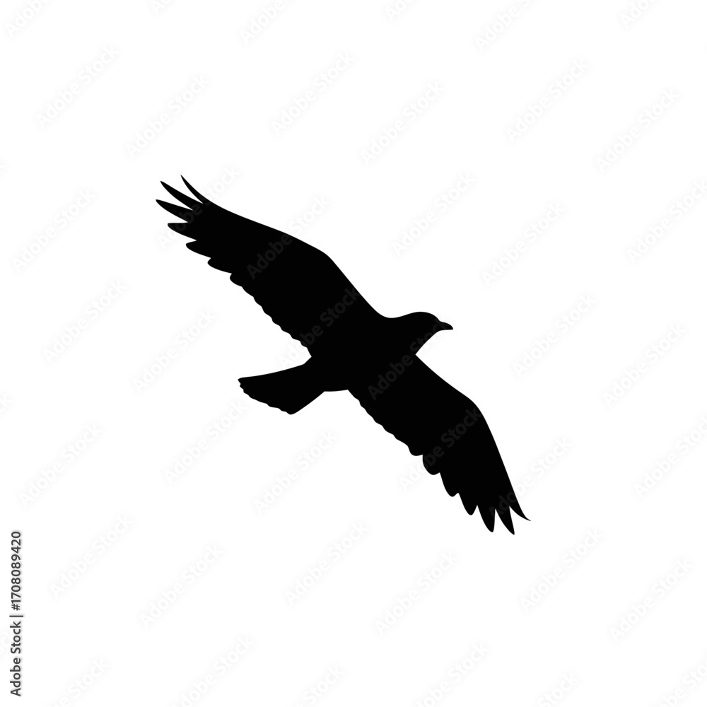 Obraz premium Minimalist vector silhouette of a bird fly