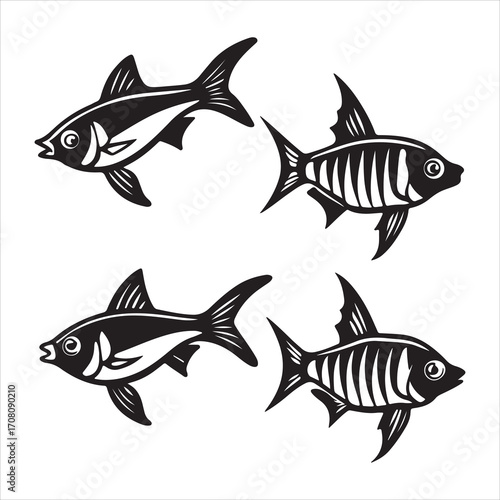 A Colorful and Streamlined Swordtail Fish, an Elongated and Aquatic Livebearer with a Swordlike Caudal Fin, a Peaceful and Vibrant Tropical Species for the Aquarium