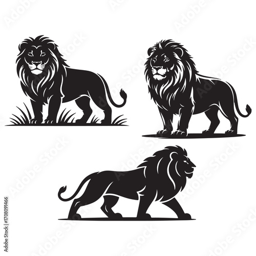 Vector illustration of a majestic lion standing proudly, representing strength, courage, and wildlife.