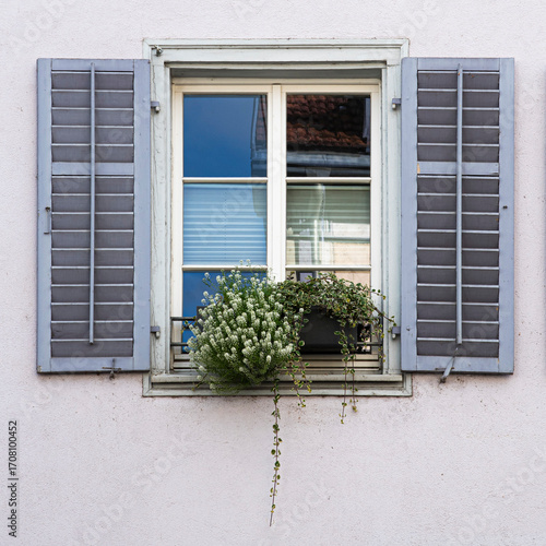 Finestre