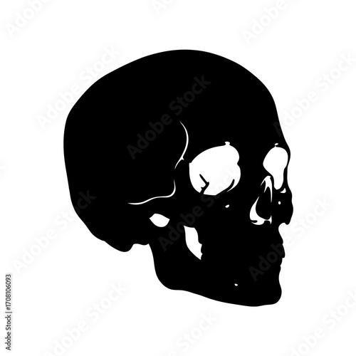 Black human skull silhouette isolated on white background