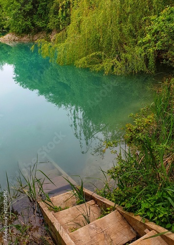 lake in the forest.