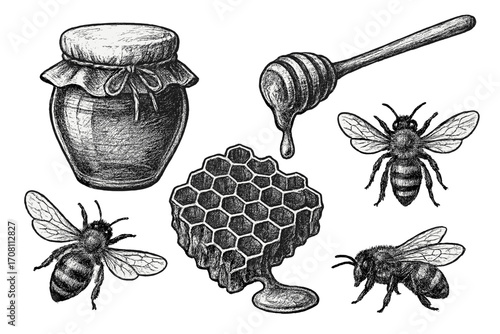 Honey and bees vintage illustration set. Graphite hand-drawn sketch of honeycomb, honey pot, and dipper stick. Retro engraving for organic food packaging or brand labels.