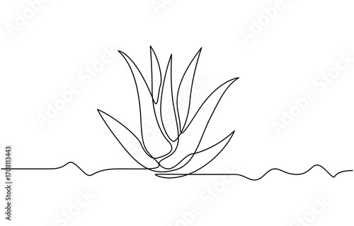 Continuous one line drawing of Aloe vera plant vector illustration. Editable outline