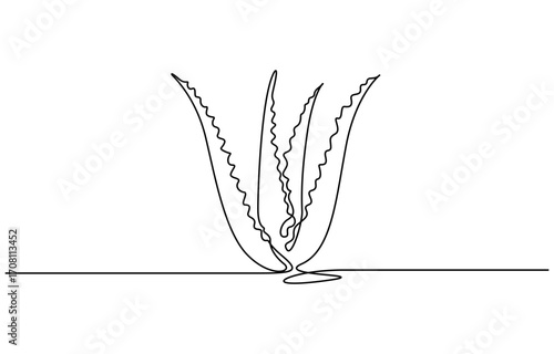 Continuous one line drawing of Aloe vera plant vector illustration. Editable outline