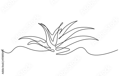 Continuous one line drawing of Aloe vera plant vector illustration. Editable outline