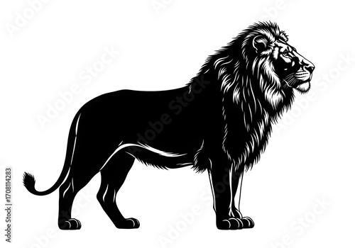 Black and white vector illustration of a wild lion silhouette, isolated on a white background
