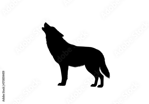 Black and white wolf vector illustration silhouette of a wild animal