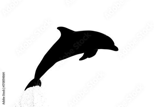 Vector silhouette of a wild aquatic mammal, a dolphin jumping over the ocean, isolated on a white background