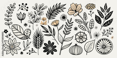 Botanical line art collection featuring various flowers leaves berries and plants perfect for creative projects and floral designs with a natural aesthetic