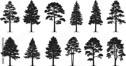 Silhouette collection of twelve diverse tree shapes including coniferous and deciduous species for botanical, forestry, landscaping, and nature design projects