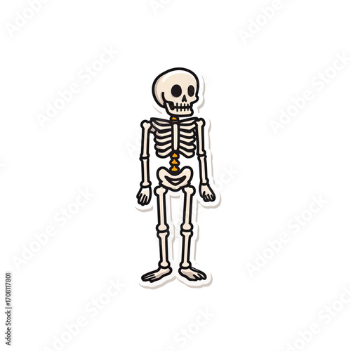 A simple and cute hand-drawn cartoon skeleton, a friendly and not-so-spooky character perfect for approachable Halloween or Day of the Dead celebrations for kids.

