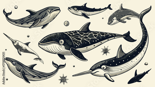 Monochromatic ocean life illustration featuring whales narwhals and various marine mammals in an artistic engraved style