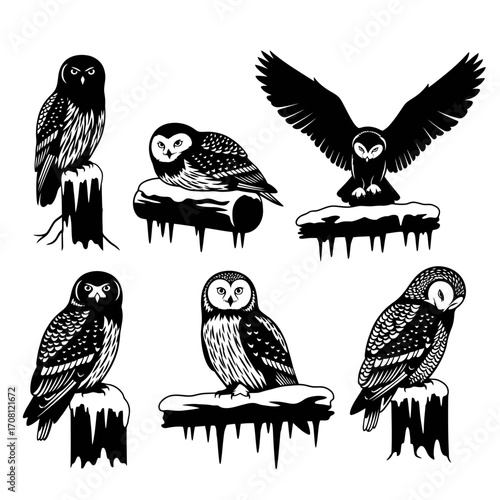 Vector art of collection of detailed owl illustrations in various poses vector silhouette set of nocturnal birds