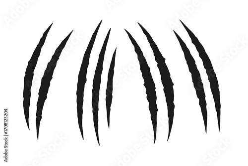 Claw scratch mark. Animal paw slash. Monster attack silhouette. Vector rip effect for horror design. Tiger, cat, bear, lion claw trail. Black illustration isolated set.