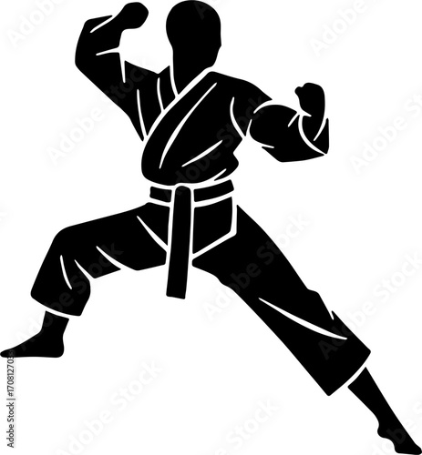 karate silhouette vector illustration, isolated on white