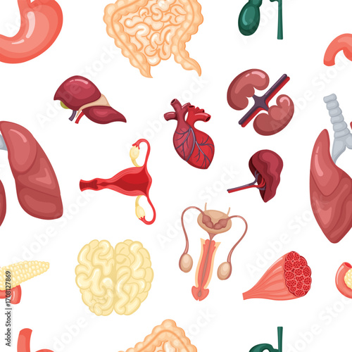 internal organs pattern. brain heart liver kidneys reproductive system. vector cartoon flat seamless pattern