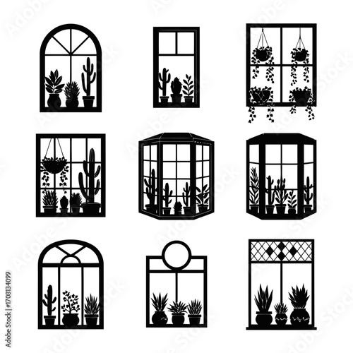 Vector art of collection of various cactus and succulent plant arrangements displayed in window frames, creating a botanical indoor garden
