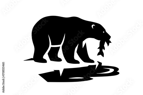 Vector art of a black bear is standing in the water with a fish in its mouth the bear is a symbol of strength
