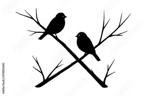 Vector art of silhouette of two birds perched on crossing branches, creating a simple yet elegant natureinspired design for various applications