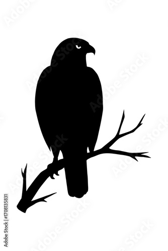 Vector art of a hawk perched on a branch, captured in a striking silhouette, embodying power, focus, and keen observation