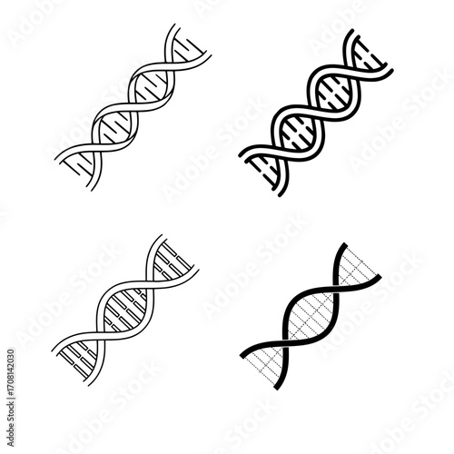 DNA Double Helix