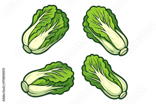Chinese cabbage vector illustration set. Cartoon napa cabbage falling isolated. Fresh green vegetable for healthy organic food, diet concepts. Raw farm market produce icon.