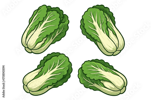 Set of fresh Chinese cabbage vector illustrations. Falling napa cabbage cartoon icon collection. Healthy organic vegetable, leafy green for vegetarian and vegan diet. Farm food.