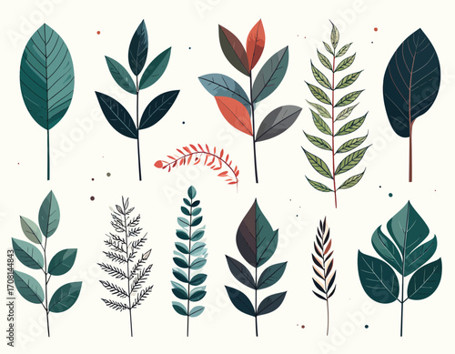 Botanical Variety - An Assortment of Leaf Illustrations.