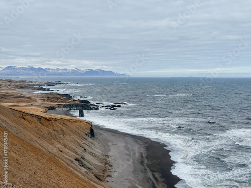Billede på lærred Coast of laekjavik beach, iceland