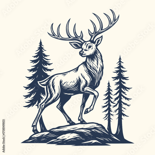 a majestic, engraving-style illustration of a large male deer with impressive antlers standing proudly on a rocky outcrop surrounded by tall pine trees.
