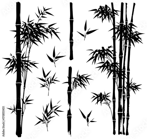 Elegant bamboo stalks and leaves convey serenity for natural Asian designs