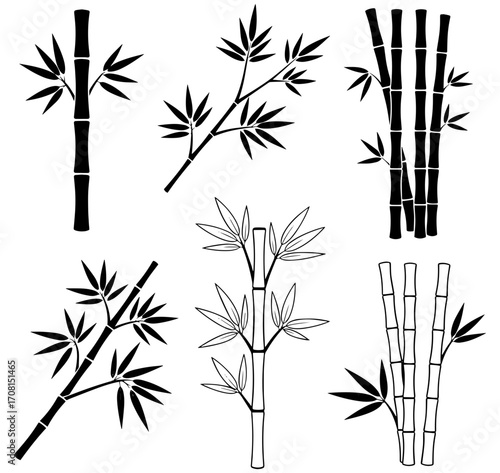 Elegant bamboo stalks with leaves create a serene, minimalist design element