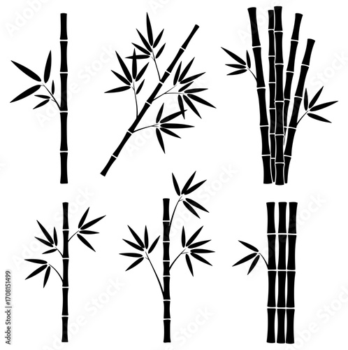 Elegant bamboo stalks add serene natural touch