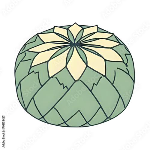 Stylized illustration of a round cactus with a central flower.