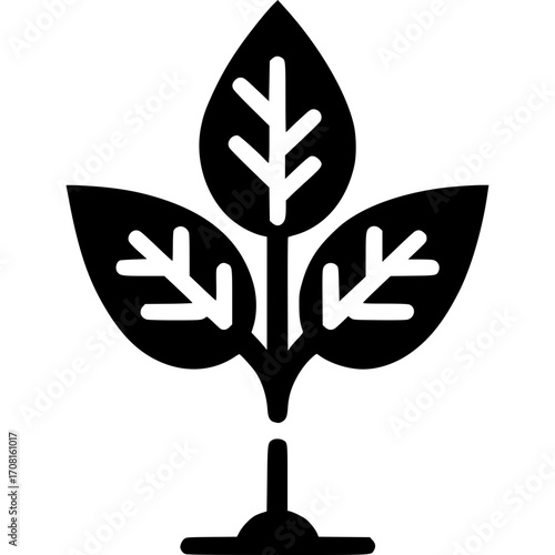 Botanical Minimalism: An artistic, minimalist icon of a flourishing sprout, with three elegant leaves reaching skyward