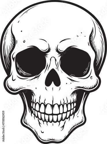 Memento Mori: A stark, intricately detailed illustration of a human skull, rendered in monochromatic tones, evokes contemplation on mortality.