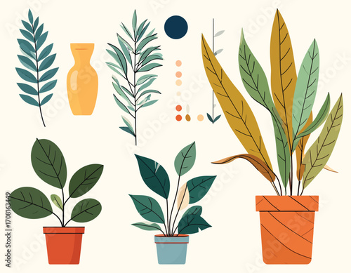 Collection of Various Houseplants and Potted Plants.